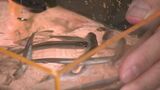 岩洞湖の氷上ワカサギ釣りが31日に解禁へ 暖冬の影響で過去2番目に遅く 一酸化炭素中毒に注意を 岩手・盛岡市|TBS NEWS DIG