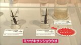 新種「ミヤザキサンショウウオ」の標本を展示　宮崎県総合博物館　|　MRTニュース ｜ ＭＲＴ宮崎放送