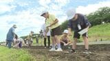 小学生が河川敷にコスモスの種まき 秋には20万本の色とりどりの花が咲き誇る 大分 | 大分のニュース|OBS NEWS|大分放送