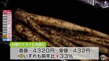 「形は悪いですけど、味は変わりない」 秋掘りの土付きナガイモの初競り 青森県|TBS NEWS DIG