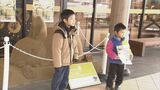 来年の干支〝ウサギ〟の砂像がお目見え…砂の美術館 鳥取市　|　BSSニュース | BSS山陰放送