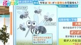 4月の天気で“好条件” 今年は「蚊」が大量発生！？【ひるおび】|TBS NEWS DIG
