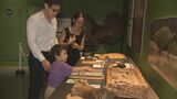 本物に触れられる恐竜展「タッチザダイナソー」来館者1万人|TBS NEWS DIG
