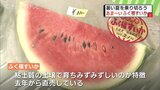 みずみずしさたっぷり!風味はまるでトマト 「ふく福すいか」直売所 リニューアルオープン 富山・砺波市|TBS NEWS DIG