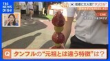 夏休み子どもWEEK#2　韓国・ソウルで人気の“タンフル（フルーツ飴）”　元祖・中国のものとは違う特徴とは？【すたすた中継】|TBS NEWS DIG