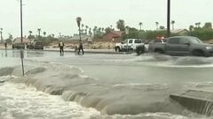 保険業界が気づいているものと気づいていないもの　増える気象災害における保険の“3つのA”への影響| TBS CROSS DIG with Bloomberg