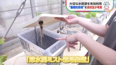 高校生らが開発「節水型ミスト栽培装置」　野菜の栽培に必要な水が半分以下になるケースも【SDGs】| TBS CROSS DIG with Bloomberg