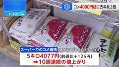 コメの平均販売価格 5キロあたり4077円　10週連続の値上がり| TBS CROSS DIG with Bloomberg