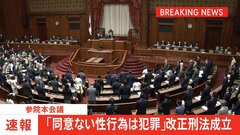 【速報】「同意なしの性行為は処罰対象」改正刑法が参院本会議で可決・成立　“性交同意年齢”は「13歳以上」→「16歳以上」に引き上げ| TBS CROSS DIG with Bloomberg
