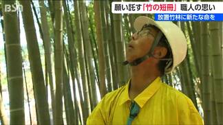 桐たんすの元伝統工芸士が手がける『竹短冊』厄介者になった放置竹林の青竹がつなぐ七夕の願い 新潟県田上町 | 新潟のニュース・天気|BSN NEWS|BSN新潟放送