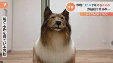 お値段は車一台分 リアルすぎる 犬 ｎスタ Tbs News Dig フォトギャラリー