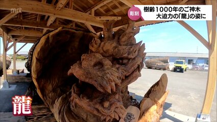 樹齢1000年のご神木で作られた「龍」の彫刻 都城市の企業が一般公開