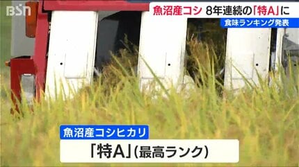 再値下げ。①近隣お届け可、食味評価特A評価常連の最高級品種、魚沼産コシヒカリに次ぐ評価と言っても過言ではないと思います。新米つや姫玄米30kg　ご希望の場合無料精米します 2025年産『魚沼コシヒカリ』が8年連続で最高ランクの“特A”評価【米の
