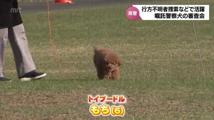 骨董品　鋳物　南部鉄器　嘱託警察犬競技会　優勝　記念品　他1品 警察犬競技会 足跡追及部門日本一 武市さん(阿南)のカリーナ号｜徳島の