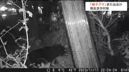 もう登らないと思う」親子グマが再び住宅敷地内に出没 ついに柿の実を