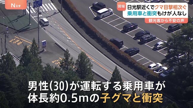 栃木・日光に“サル”ではなく“クマ” 「人が多いところにも出るとは…」秋の行楽シーズンに親子グマなど目撃相次ぐ|TBS NEWS DIG