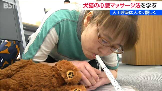 犬や猫に心臓マッサージや人工呼吸「命を救いたい」ペットの心肺蘇生法を学ぶ 新潟市|TBS NEWS DIG