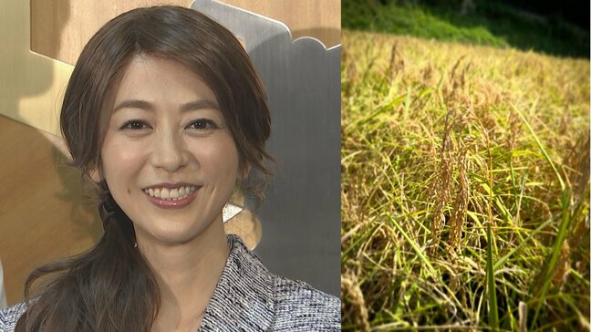 【 白石美帆 】「恒例の稲刈りも灼熱」　メカジキのライスサラダは「冷蔵庫の掃除もかねて」スッキリ＆チャージ　晩夏に気合い【 夫は元V6・長野博さん 】|TBS NEWS DIG