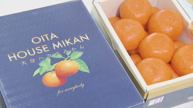 大分ハウスみかん初競り　1キロ平均2520円で取り引き|TBS NEWS DIG