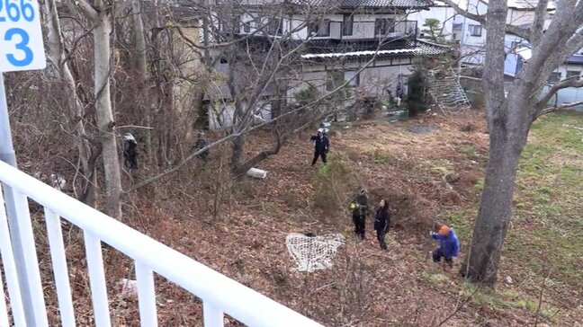 住宅街に子グマ1頭が出没 3時間後に捕獲 山に放す見込み 岩手・宮古市|TBS NEWS DIG