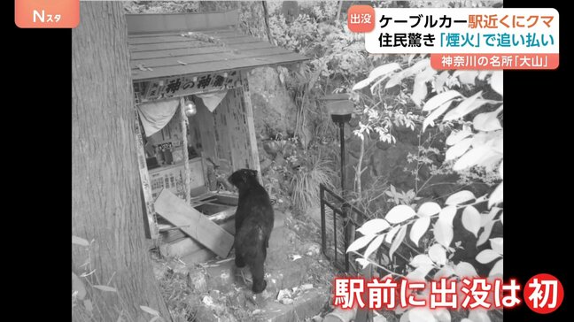 神奈川の名所・大山　まさか…ケーブルカー駅近くにクマ「出没は初めて」　伊勢原市は煙火で追い払い対策|TBS NEWS DIG