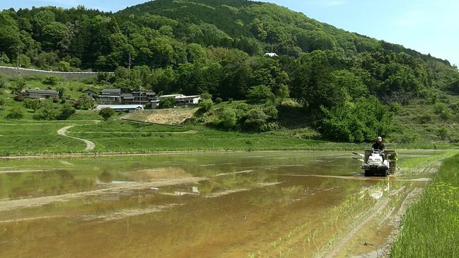 「つなぐ棚田遺産」大垪和西の棚田で田植えが最盛期　“令和の米騒動”の中コメ農家の思いとは【岡山・美咲町】|TBS NEWS DIG