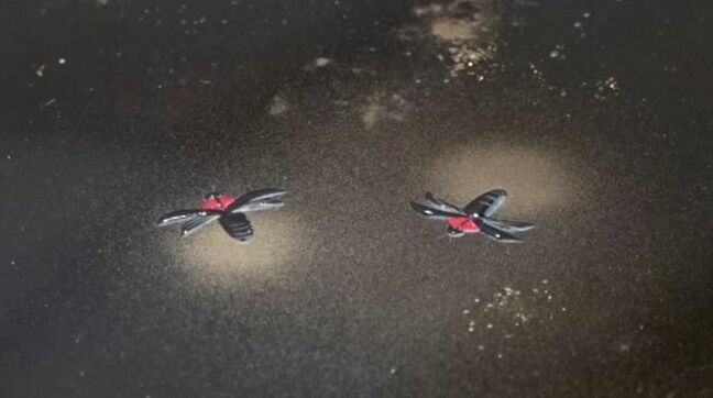 能登の復興をイメージする作品も 現代美術展・輪島展が12日に開幕|TBS NEWS DIG