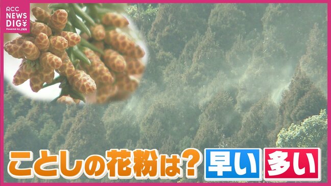 ことしの花粉は「多い」前年比430%も PM2.5や黄砂は症状を重くする 今のうちにできる対策は?|TBS NEWS DIG