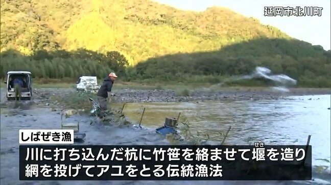 伝統のアユ漁「しばぜき漁」　延岡市北川町で最盛期迎える|TBS NEWS DIG