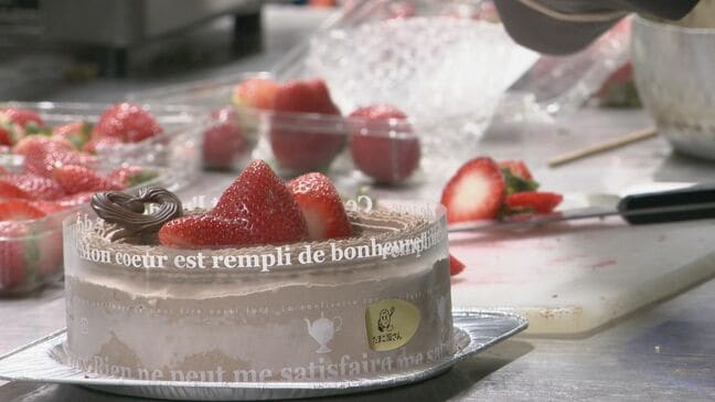 “エッグショック”再来？卵の価格高騰で｢クリスマスケーキの予約も状況次第で止めなければ｣ 仕入れ制限でそもそも入ってこない… 液卵の使用も検討|TBS NEWS DIG