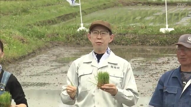 今年の収穫量は1.5倍に…県のトップブランド米「福、笑い」の田植え　福島・いわき市|TBS NEWS DIG