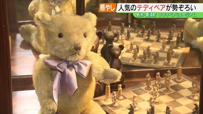 その数、およそ500体！かわいいテディベアが勢ぞろい　那須テディベアミュージアム【夏休みおすすめスポット】|TBS NEWS DIG