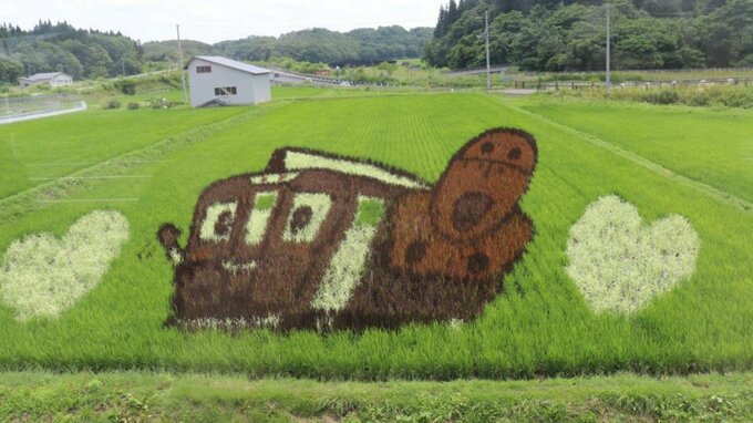 秋田内陸線沿線の田んぼアート見頃　かわいらしいキャラクターが乗客の目を楽しませる|TBS NEWS DIG