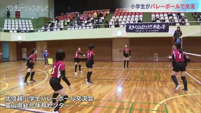 小学生がバレーボールで交流 北信越64チームが富山市で熱戦　|　富山のニュース｜天気・防災｜チューリップテレビ
