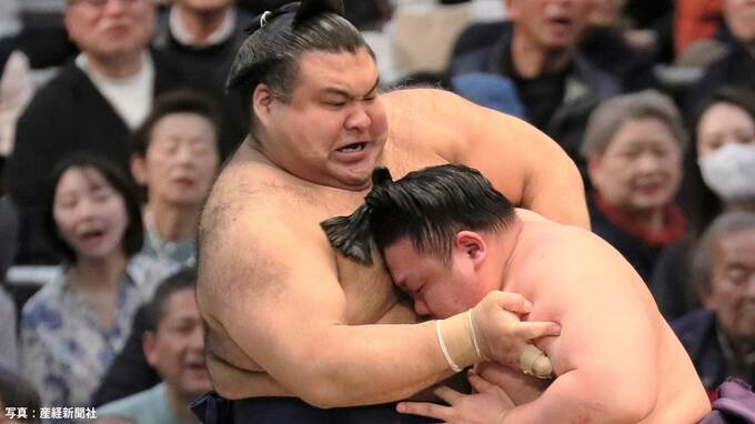 高安と大の里がV争い再びトップで並ぶ、大の里は大栄翔下し3敗死守、千秋楽で大混戦の可能性も【大相撲春場所】|TBS NEWS DIG