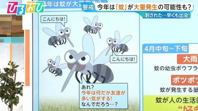 4月の天気で“好条件” 今年は「蚊」が大量発生！？【ひるおび】|TBS NEWS DIG