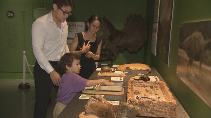本物に触れられる恐竜展「タッチザダイナソー」来館者1万人|TBS NEWS DIG