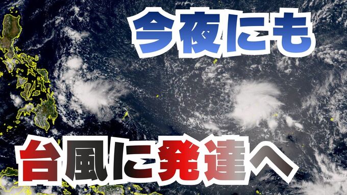 【台風のたまご】熱帯低気圧がきょう（6日夜）にも台風に発達へ　中心気圧1006hPa、最大風速は15m/s…フィリピンの東へ進む見込み【雨と風のシミュレーション】　|　富山のニュース｜天気・防災｜チューリップテレビ