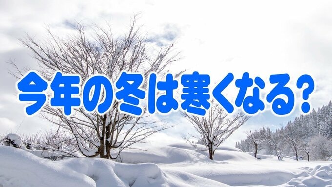 【気象予報士解説】今年の冬の寒さは？気象庁は「ほぼ平年並み」ですが・・・|TBS NEWS DIG