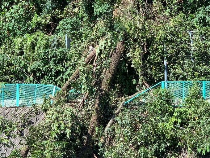 【速報】「木が倒れて電線が切れている」広島市で最大約2350戸が停電　停電で臨時休館する施設も　|　RCC NEWS | 広島ニュース | RCC中国放送