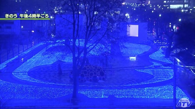 まるで星の海原！十和田市イルミネーションを中継　青の絨毯がアート広場を彩る|TBS NEWS DIG