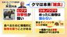 “肉の味を覚えたクマ”が人を襲うおそれも　繁殖期の５～６月は「共食い」が多発するほどで特に危険！【相次ぐクマ被害】　|　MBSニュース | 関西の最新ニュースを分かりやすく。