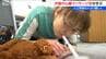 「ペットの命を救いたい」 心臓マッサージや人工呼吸　 犬・猫の救命法を学ぶ講習会開催　新潟市　|　新潟のニュース・天気｜BSN NEWS｜BSN新潟放送