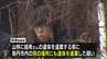【京都・男児遺体】山林に安達結希さんの遺体を遺棄する前に別の場所にも遺棄か　逮捕された父親の安達優季容疑者(37)「私のやったことに間違いありません」　警察が死亡の経緯を詳しく捜査　|　MBSニュース | 関西の最新ニュースを分かりやすく。