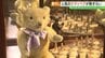 その数、およそ500体！かわいいテディベアが勢ぞろい　那須テディベアミュージアム【夏休みおすすめスポット】　|　福島のニュース│TUF