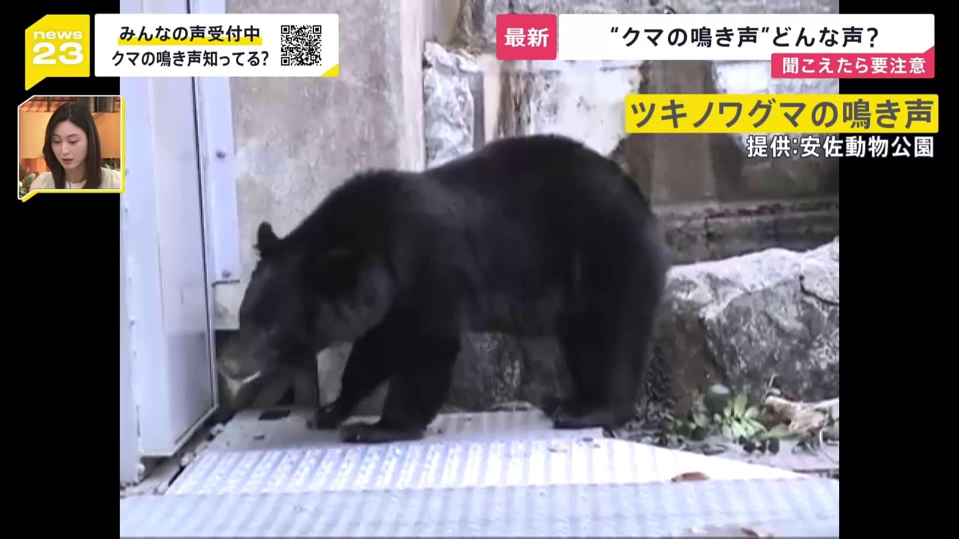ツキノワグマ 死亡 事故