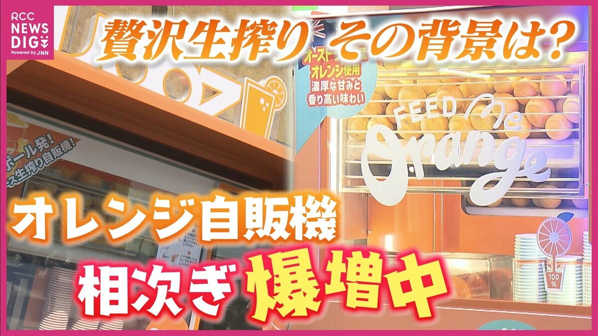 img_2e06edece4eca041a72baa2120