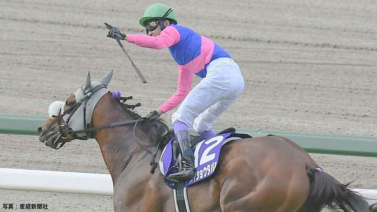 さるきち様 オーダー7枚 メイショウタバル追加 R7・宝塚記念レースパネル メイショウタバル | サンスポe-shop