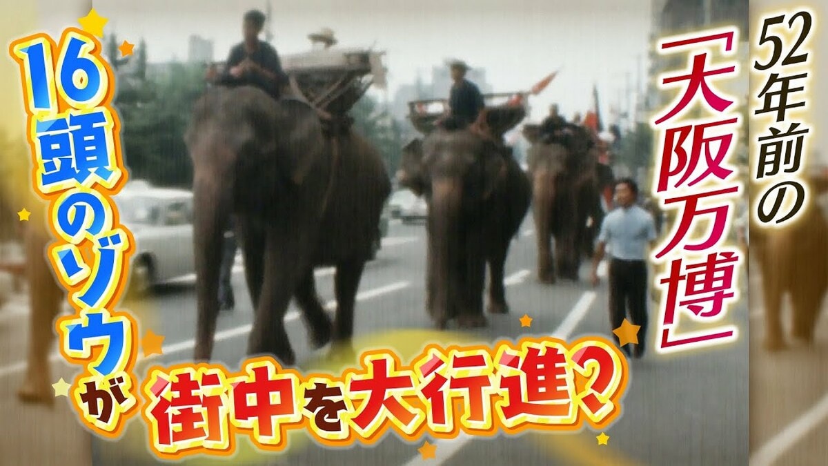 ゾウ16頭が街中を大行進？52年前に開催の「大阪万博」ゾウが