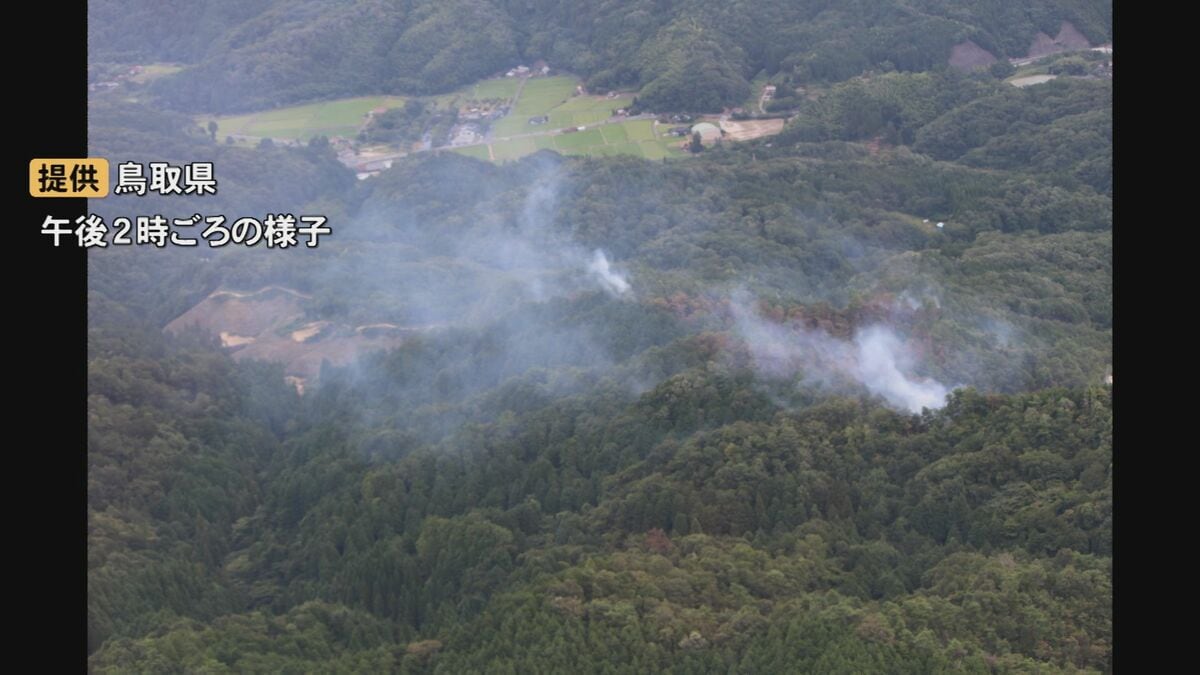 img_2ef3dcf59809922296a916cd6d